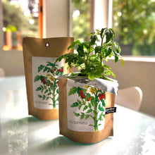 Load image into Gallery viewer, Potting Shed Creations, Ltd. - Garden in a Bag | Tomato | Great gift for cooks