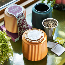 Load image into Gallery viewer, Modern Sprout - Flower Grow Kit: Daisy Daydream