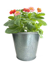 Load image into Gallery viewer, Potting Shed Creations, Ltd. - Garden in a Bag | It's a Girl | Baby Shower idea