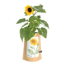 Load image into Gallery viewer, Potting Shed Creations, Ltd. - Garden in a Bag | Sunflower | Flower lover | Best Seller