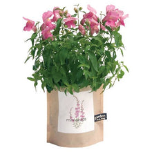 Load image into Gallery viewer, Potting Shed Creations, Ltd. - Garden in a Bag | Snapdragon | Flower Lover | Best Seller