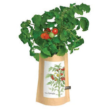 Load image into Gallery viewer, Potting Shed Creations, Ltd. - Garden in a Bag | Tomato | Great gift for cooks