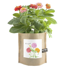 Load image into Gallery viewer, Potting Shed Creations, Ltd. - Garden in a Bag | It's a Girl | Baby Shower idea