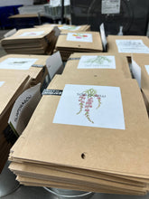 Load image into Gallery viewer, Potting Shed Creations, Ltd. - Garden in a Bag | Snapdragon | Flower Lover | Best Seller