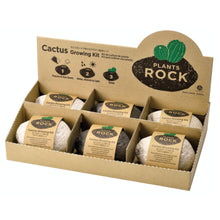 Load image into Gallery viewer, Noted - Plants Rock - Cactus - Assorted 3 Colors