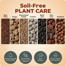 Load image into Gallery viewer, Veryplants US LLC - Molly's Succulent Mix - 5 Dry Quarts - Case of 6