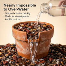Load image into Gallery viewer, Veryplants US LLC - Molly's Succulent Mix - 5 Dry Quarts - Case of 6