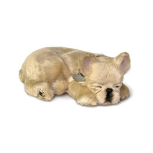 Load image into Gallery viewer, 88Unlimited/Perfect Petzzz - 18Original - French Bulldog