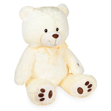 Load image into Gallery viewer, Cuddle Barn, Inc. - Nite Brite Pals - Cuddles the Cub (Light-up Lullaby Plush)