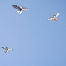Load image into Gallery viewer, In the Breeze, LLC. - 70" Great Horned Owl Kite