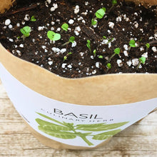 Load image into Gallery viewer, Potting Shed Creations, Ltd. - Garden in a Bag | Basil | Gift idea for Cooks | Best Seller
