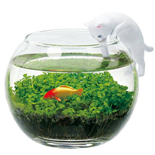 Load image into Gallery viewer, Noted - Water Garden with Cat - White