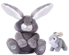Load image into Gallery viewer, Dimple - Milo Grey Singing Bunny & Soft Plush Baby Bunny