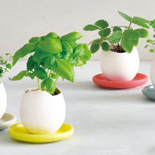 Load image into Gallery viewer, Noted - Eggling with Saucer - Wild Strawberry