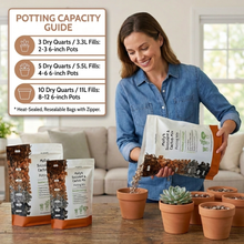 Load image into Gallery viewer, Veryplants US LLC - Molly's Succulent Mix - 5 Dry Quarts - Case of 6