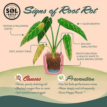 Load image into Gallery viewer, Sol Soils - Soil (2Qt) Succulent Gritty Mix (Soilless): 2 Quarts