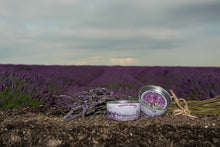 Load image into Gallery viewer, The Jonsteen Company - Lavender | Flower Seed Grow Kit