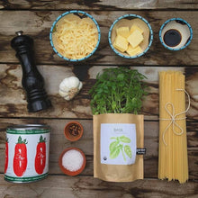 Load image into Gallery viewer, Garden in a Bag | Basil