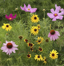 Load image into Gallery viewer, Scatter Garden | Butterfly Habitat