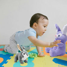 Load image into Gallery viewer, Dimple - Plush Bunny Bella Purple Singing Baby Soft Bunny
