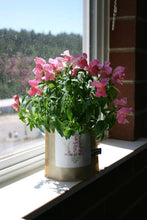 Load image into Gallery viewer, Potting Shed Creations, Ltd. - Garden in a Bag | Snapdragon | Flower Lover | Best Seller

