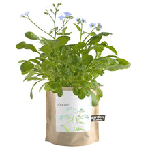 Load image into Gallery viewer, Potting Shed Creations, Ltd. - Garden in a Bag | It's a Boy | Baby Shower idea
