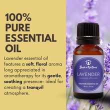 Load image into Gallery viewer, Best of Nature - Lavender Essential Oil, 100% Pure - 15ml / 100ml: 1/2 oz
