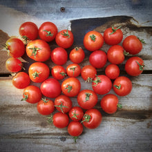 Load image into Gallery viewer, Potting Shed Creations, Ltd. - Garden in a Bag | Tomato | Great gift for cooks
