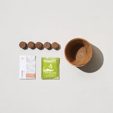 Load image into Gallery viewer, Modern Sprout - Tiny Terracotta Grow Kits: Thank You Daisy
