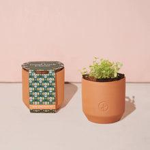 Load image into Gallery viewer, Modern Sprout - Tiny Terracotta Grow Kits: Thank You Daisy
