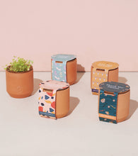 Load image into Gallery viewer, Modern Sprout - Tiny Terracotta Grow Kits: Thank You Daisy
