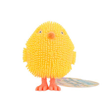 Load image into Gallery viewer, Toysmith - Light-Up Squishies
