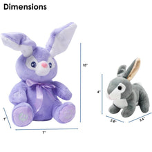 Load image into Gallery viewer, Dimple - Plush Bunny Bella Purple Singing Baby Soft Bunny
