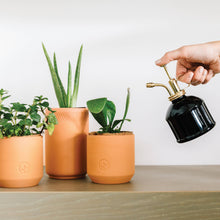 Load image into Gallery viewer, Modern Sprout - Tiny Terracotta Grow Kits: Thank You Daisy
