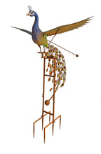 Load image into Gallery viewer, Continental Art Center - Big Rustic Metal Peacock Rocker Balancing Garden Stake
