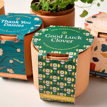 Load image into Gallery viewer, Modern Sprout - Tiny Terracotta Grow Kits: Thank You Daisy
