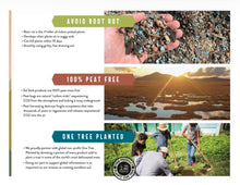 Load image into Gallery viewer, Sol Soils - Soil (2Qt) Succulent Gritty Mix (Soilless): 2 Quarts
