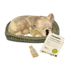Load image into Gallery viewer, 88Unlimited/Perfect Petzzz - 18Original - French Bulldog
