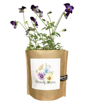 Load image into Gallery viewer, Potting Shed Creations, Ltd. - Garden in a Bag | Thinking Of You | Best Seller
