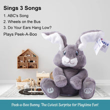 Load image into Gallery viewer, Dimple - Milo Grey Singing Bunny &amp; Soft Plush Baby Bunny
