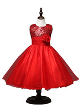 Load image into Gallery viewer, Fennco Styles - Lovely Sequin Flower Girl Dress: Rose / 2-3T
