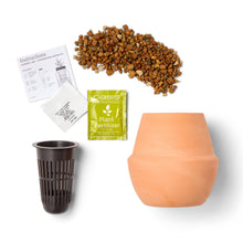 Load image into Gallery viewer, Modern Sprout - Terracotta Grow Kits: Bonsai
