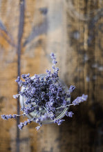Load image into Gallery viewer, The Jonsteen Company - Lavender | Flower Seed Grow Kit
