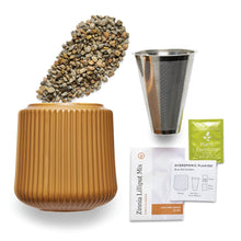 Load image into Gallery viewer, Modern Sprout - Flower Grow Kit: Zinnia Dahlia
