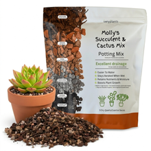Load image into Gallery viewer, Veryplants US LLC - Molly's Succulent Mix - 5 Dry Quarts - Case of 6
