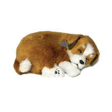 Load image into Gallery viewer, 88Unlimited/Perfect Petzzz - 13Original - Mutt
