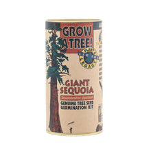 Load image into Gallery viewer, The Jonsteen Company - Best Sellers Case Pack | 12 Grow Kits w/ Display
