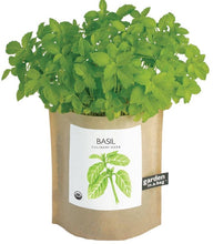 Load image into Gallery viewer, Garden in a Bag | Basil
