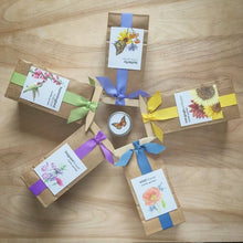 Load image into Gallery viewer, Scatter Garden | Wildflower
