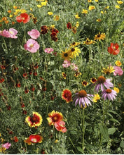 Load image into Gallery viewer, Scatter Garden | Wildflower
